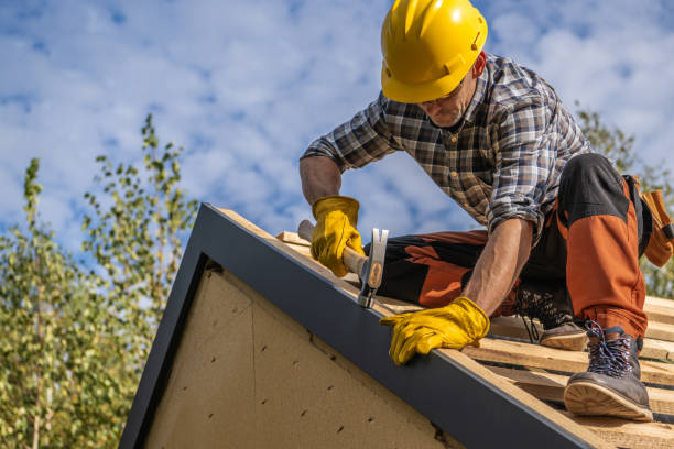 Best Solar Panel Roofing Installation  in Elton, LA